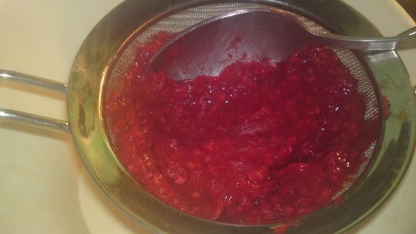 Závan leta v zime (fotorecept) - obrázok 20