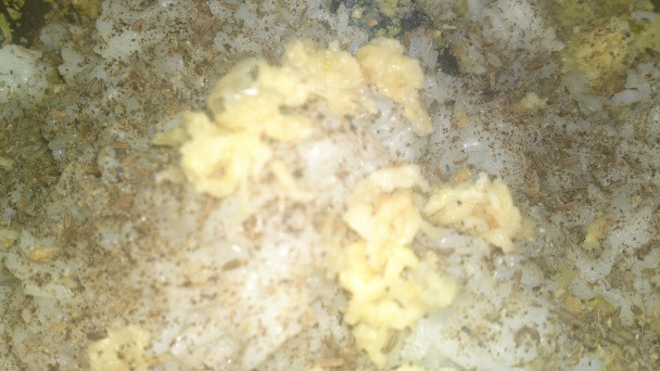 Kelové fašírky s mrkvou (fotorecept) - obrázok 8