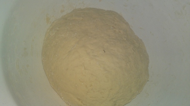 Pompos - pompoš (fotorecept) - obrázok 4