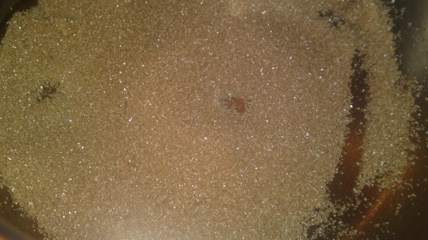 Pečené kačacie prsia na rozmaríne s granátovým jablkom v karamelovej omáčke (fotorecept) - obrázok 10