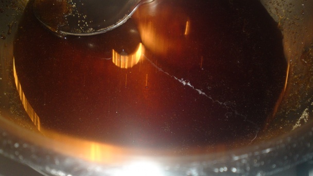 Pečené kačacie prsia na rozmaríne s granátovým jablkom v karamelovej omáčke (fotorecept) - obrázok 11