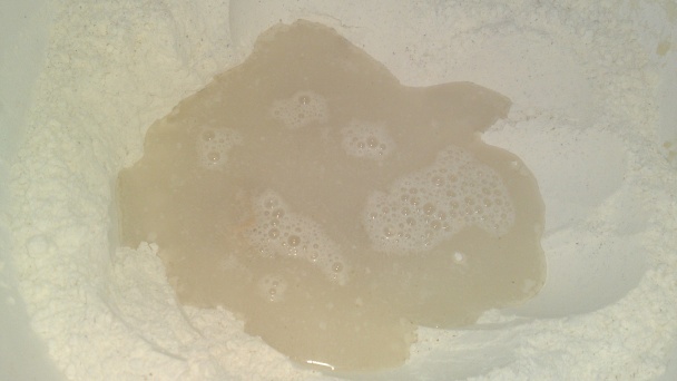 Posúch s paradajkami, cesnakom, pórom a červenou cibuľou (fotorecept) - obrázok 2