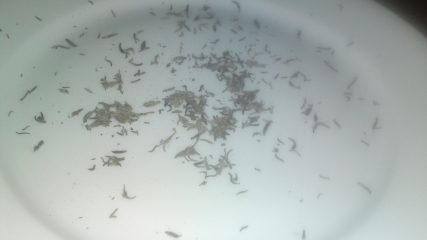 Jelenie ragú (fotorecept) - obrázok 5