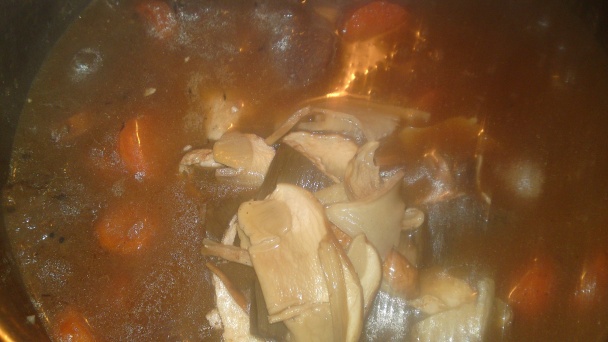 Jelenie ragú (fotorecept) - obrázok 18