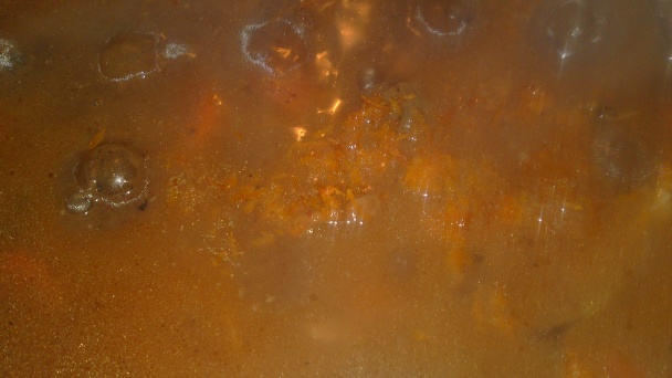 Jelenie ragú (fotorecept) - obrázok 21