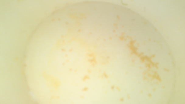 Veľkonočná pečená treska s petržlenovo-cesnakovou krustou s citrónovou kôrou (fotorecept) - obrázok 3