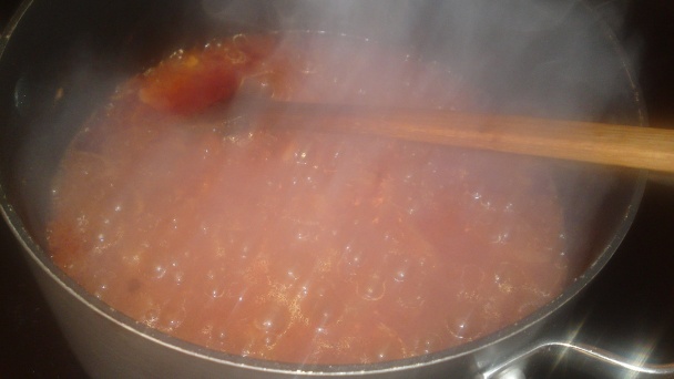 Dusené hovädzie rezne z hovädzej glejovky (fotorecept) - obrázok 13