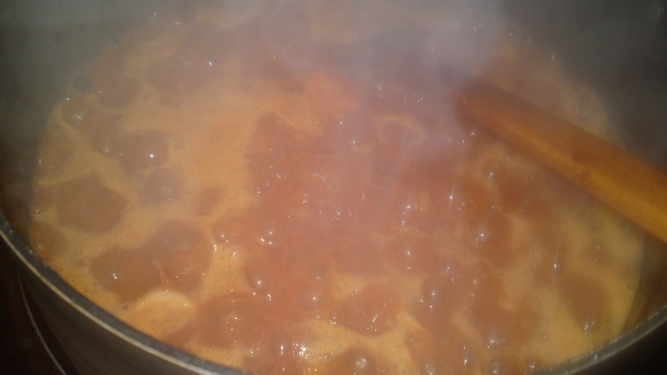 Hovädzie ragú na hríboch smrekových, červenom víne a šípkovom lekvári (fotorecept) - obrázok 15