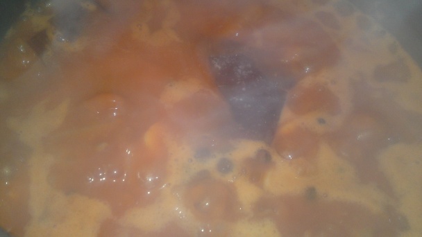 Hovädzie ragú na hríboch smrekových, červenom víne a šípkovom lekvári (fotorecept) - obrázok 18