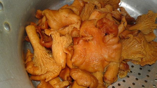 Pečené francúzske kura na masle a Chardonnay s pečenými kuriatkami (fotorecept) - obrázok 5