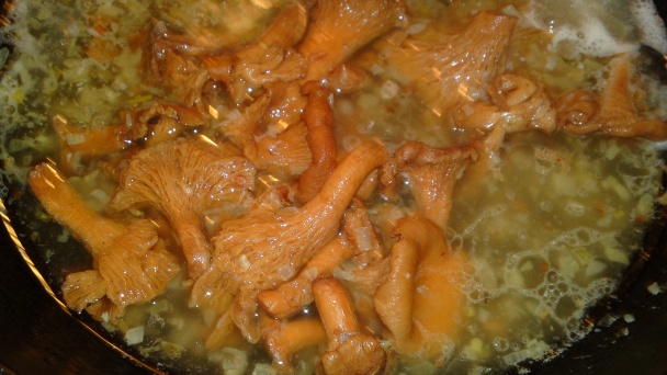 Kuriatka na šalotke v smotanovej omáčke s estragónom a s citrónovou šťavou (fotorecept) - obrázok 7