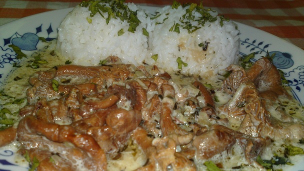 Kuriatka na šalotke v smotanovej omáčke s estragónom a s citrónovou šťavou (fotorecept) - obrázok 14