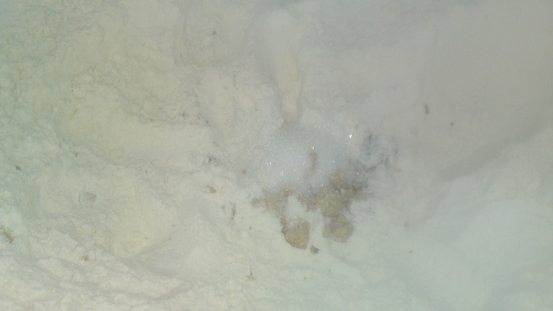 Posúch s dubákmi, cherry paradajkami, parmezánom a so smotanou (fotorecept) - obrázok 2