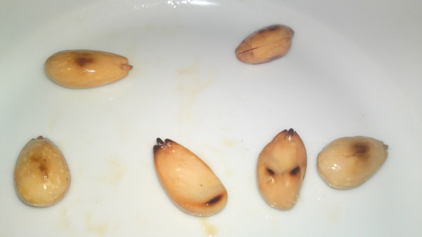 Jarný chrumkavý šalát zo stopkového zeleru, jablka a orechov (fotorecept) - obrázok 3