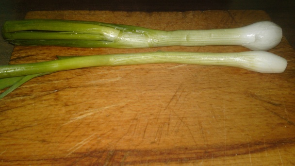 Kabak mücver (fotorecept) - obrázok 1