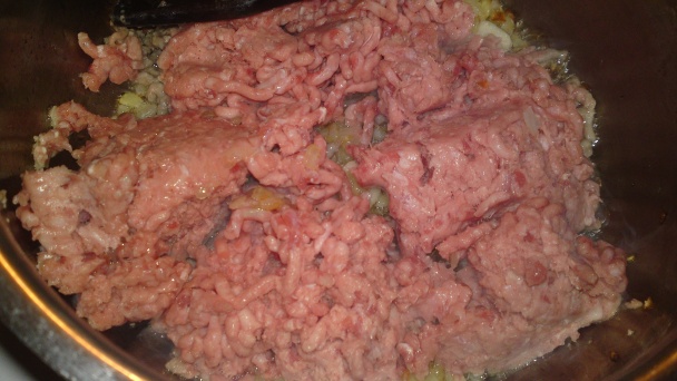 Karniyarik (fotorecept) - obrázok 5