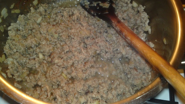 Karniyarik (fotorecept) - obrázok 6