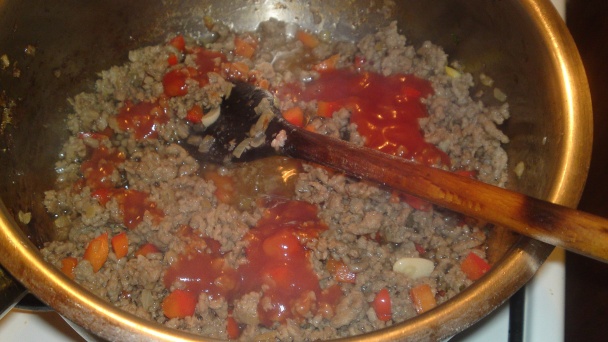 Karniyarik (fotorecept) - obrázok 8