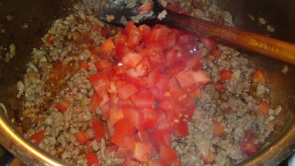 Karniyarik (fotorecept) - obrázok 9