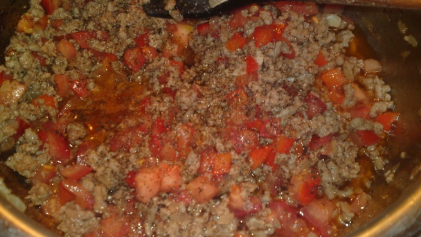 Karniyarik (fotorecept) - obrázok 10