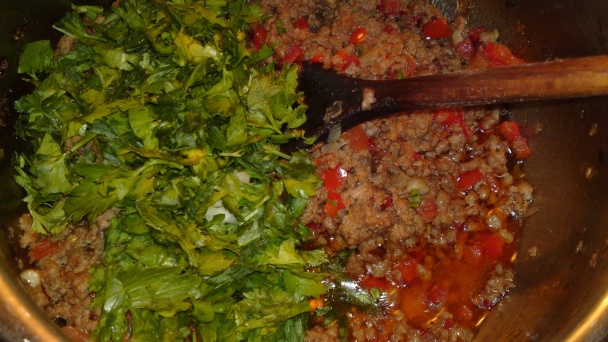 Karniyarik (fotorecept) - obrázok 11