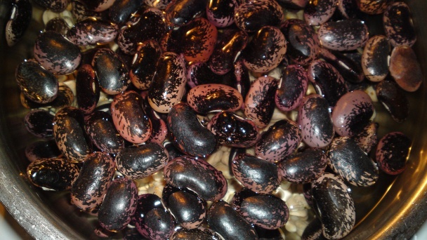 Mosheho židovský kosher šábesový hovädzí šoulet (fotorecept) - obrázok 1