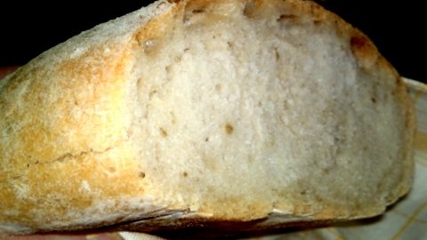 Rýchla ciabatta zo špaldovej hladkej múky s bylinkami (fotorecept) - obrázok 12