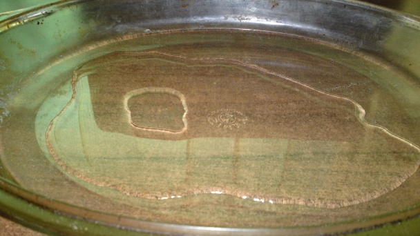 Pečený camembert na Chardonnay (fotorecept) - obrázok 4