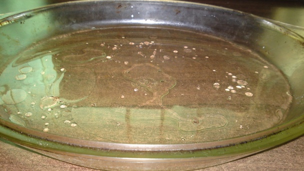 Pečený camembert na Chardonnay (fotorecept) - obrázok 5