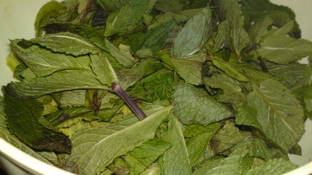 Koncentrovaný sirup z mäty piepornej (fotorecept) - obrázok 1