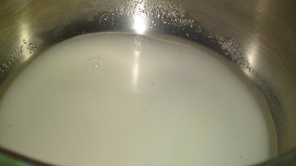 Koncentrovaný sirup z mäty piepornej (fotorecept) - obrázok 6