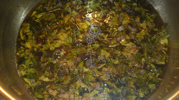 Koncentrovaný sirup z mäty piepornej (fotorecept) - obrázok 10