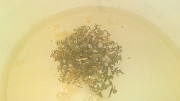 Šalát s plnenou hruškou a estragónom (fotorecept) - obrázok 7