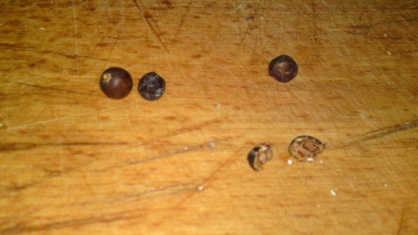 Pečené kuracie stehná s medom, zázvorom, pomarančom a borievkami (fotorecept) - obrázok 3