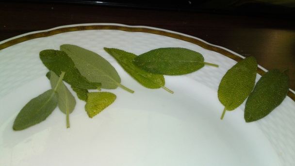 Saltimbocca od Nick Stellino (fotorecept) - obrázok 2