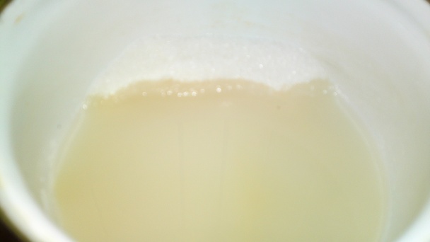 Zmrzlina zo žltého melónu s jogurtom (fotorecept) - obrázok 5