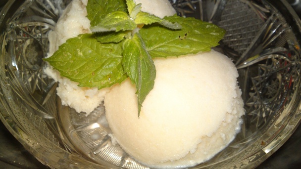 Zmrzlina zo žltého melónu s jogurtom (fotorecept) - obrázok 17