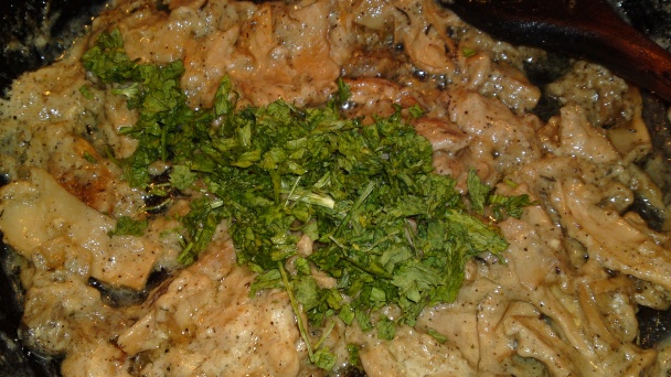 Celkom obyčajné lángoše plnené dubákmi (fotorecept) - obrázok 11