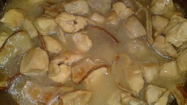 Kuracie ragú na Chardonnay s dubákmi a s estragónom (fotorecept) - obrázok 9