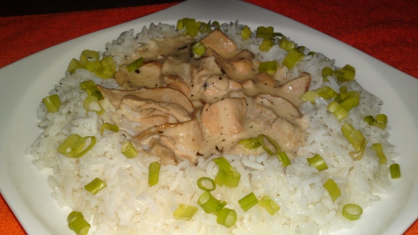 Kuracie ragú na Chardonnay s dubákmi a s estragónom (fotorecept) - obrázok 16