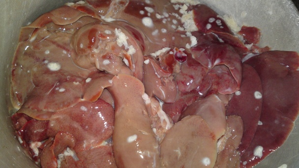 Lahodná paštéta z králičej pečene (fotorecept) - obrázok 8