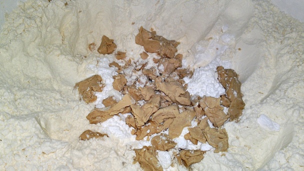 Pletený bič (fotorecept) - obrázok 2