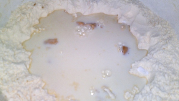 Pletený bič (fotorecept) - obrázok 3