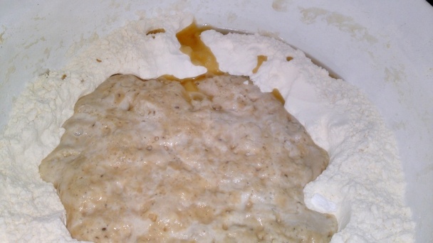 Pletený bič (fotorecept) - obrázok 7