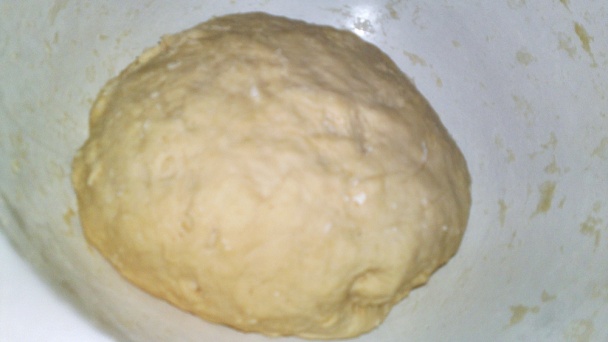 Pletený bič (fotorecept) - obrázok 8