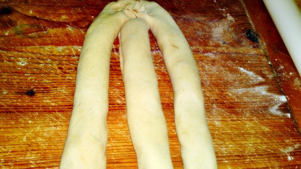 Pletený bič (fotorecept) - obrázok 17