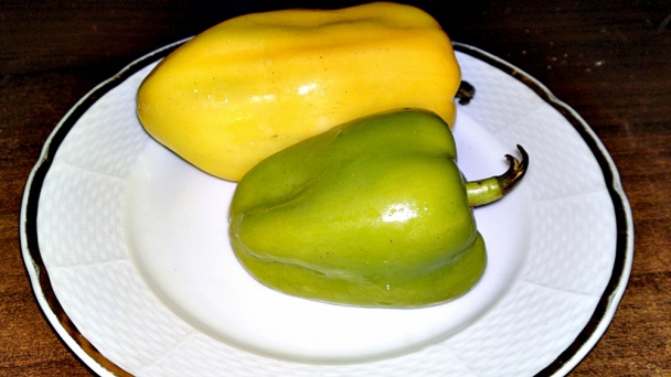 Biber Dolmasi - turecké plnené papriky (fotorecept) - obrázok 1