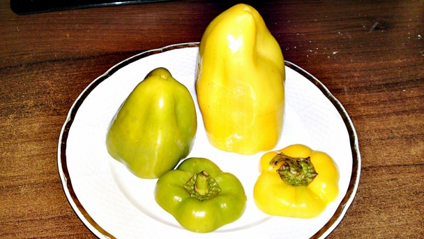 Biber Dolmasi - turecké plnené papriky (fotorecept) - obrázok 2