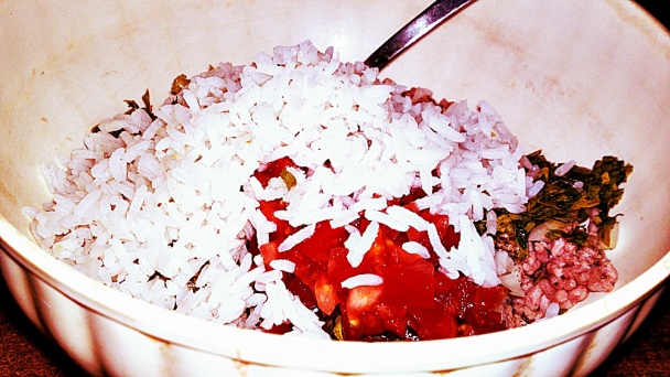 Biber Dolmasi - turecké plnené papriky (fotorecept) - obrázok 8