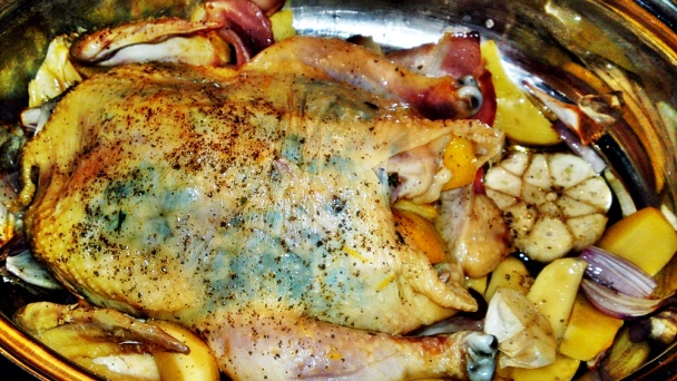 Pečené baby kuriatka s bylinkovým maslom, citrónom a bakoňskou slaninou (fotorecept)  - obrázok 17